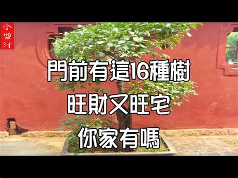 龍眼樹風水|【龍眼樹在風水學的用意】龍眼樹的風水作用 